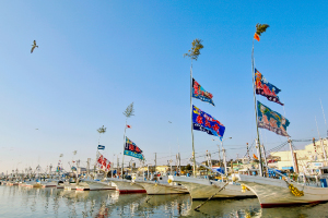 お魚のこだわり