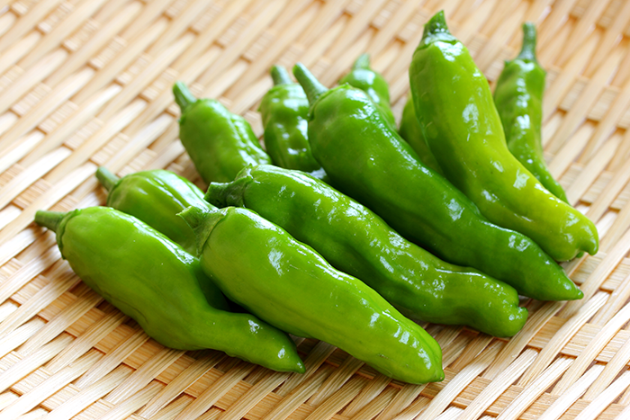 ししとうがらし